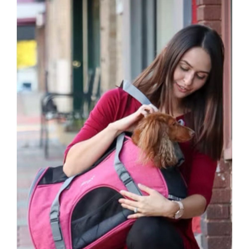 BERGAN Coastal Pet Comfort Carrier in  Heather Berry  Size Large / Used 2’s